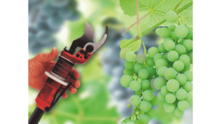 Промислові поршневі компресори KAESER у виноградарстві.